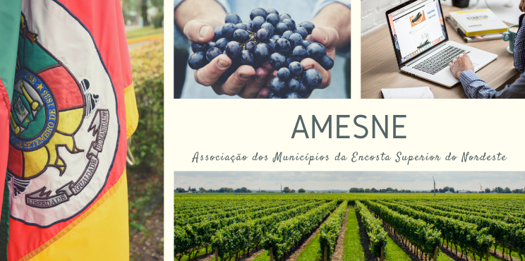 AMESNE - Associação dos Municipios da Encosta Superior do Nordeste
